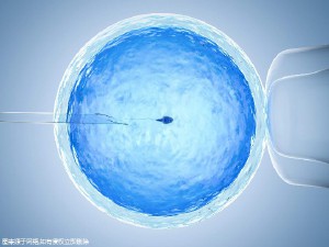 素竹生殖医学中心
